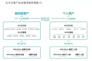 金山办公上市首日涨超205 ,这一刻雷军等了20年这一刻, 金山办公 688111 聊吧 赢家聊吧